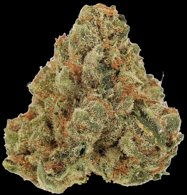 Crescendo Cookies