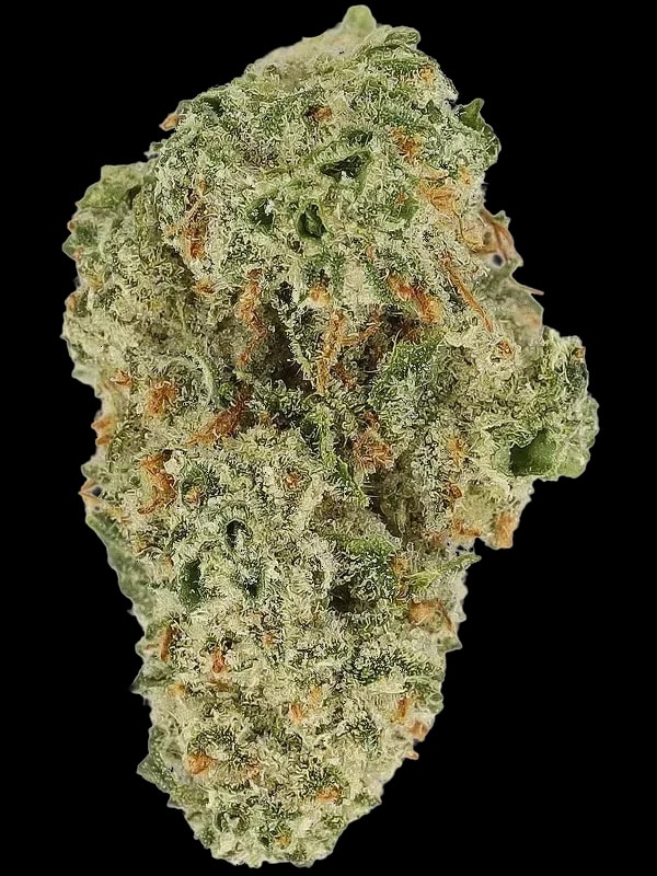 Cannamedical Sativa Forte