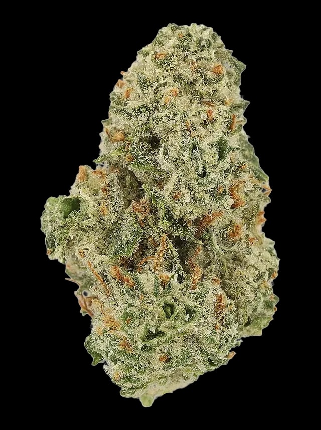 Cannamedical CM 32/1 EBK