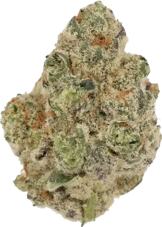 Cannamedical Indica Classic ZAF