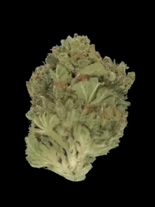 Cannamedical Indica Classic