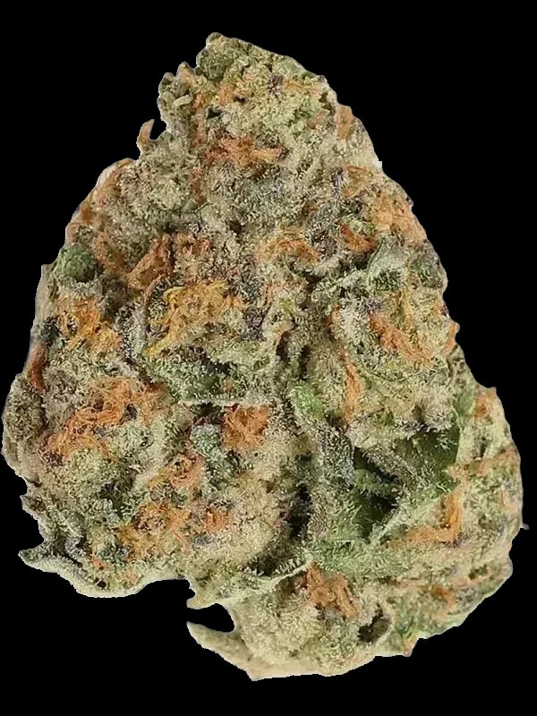 Cannamedical Indica Ultra