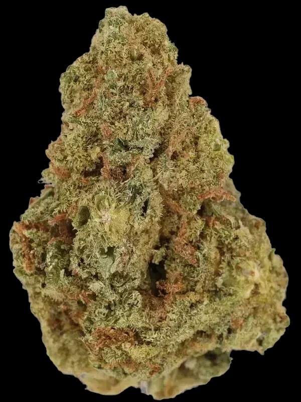 Cannamedical CM 20/1 CRM