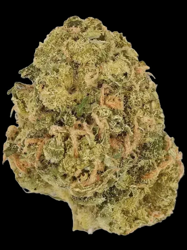 Cannamedical CM 28/1 Sour