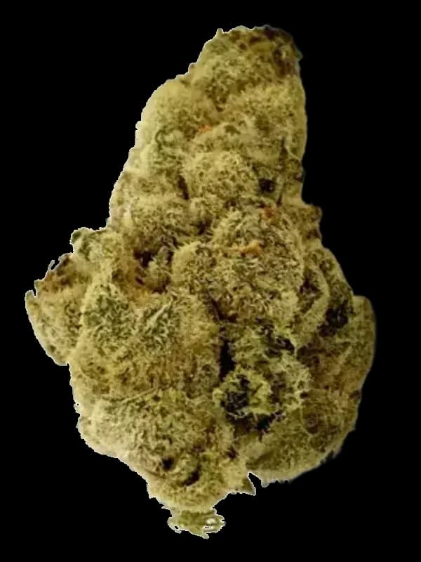 Dosi Bow
