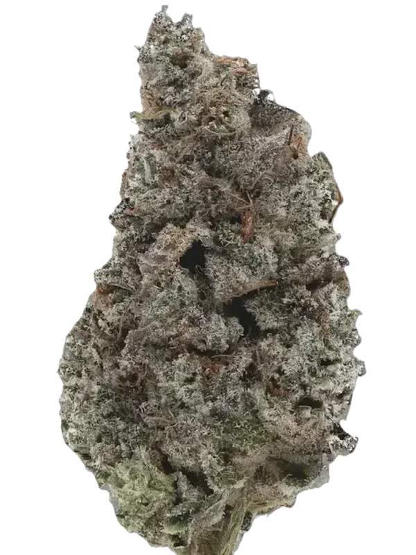 Cannamedical Hybrid Forte DK