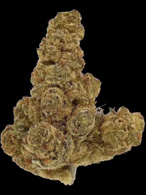 Cannamedical Indica Ultra SM