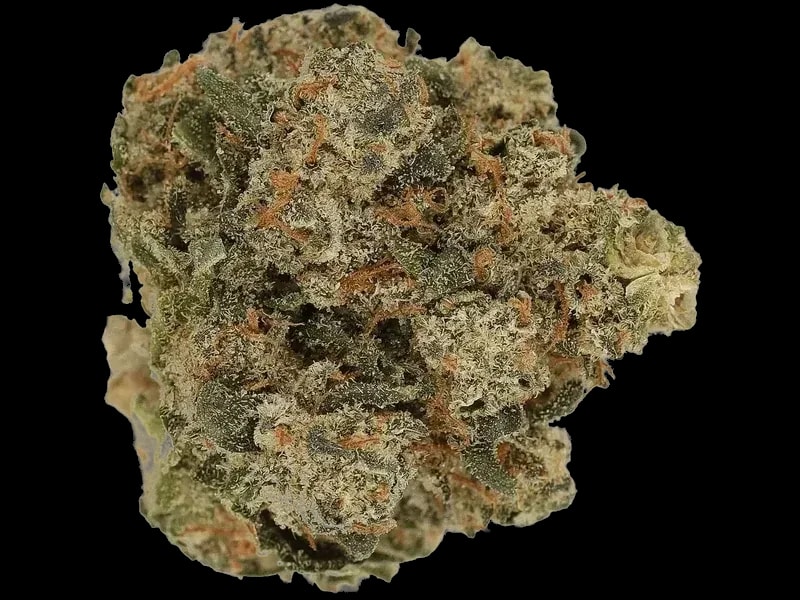Cannamedical Hybrid Classic DK