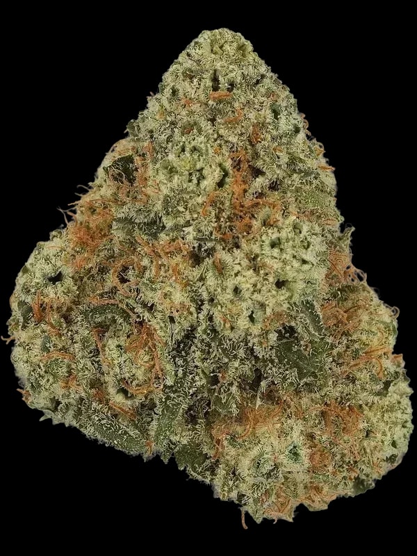 Cannamedical Indica Classic DK 20/1