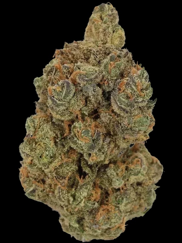 Cannamedical Hybrid Forte BC