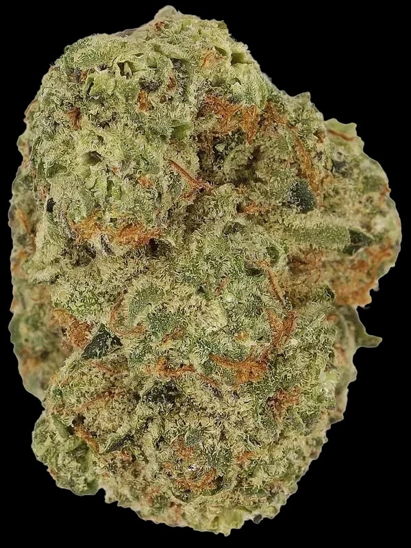 Cannamedical Indica Forte SM