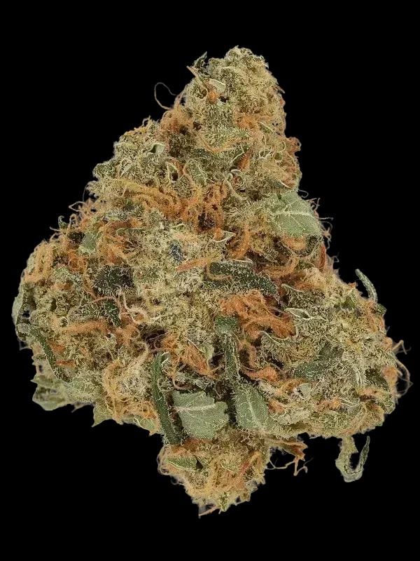 Cannamedical Indica Classic DK
