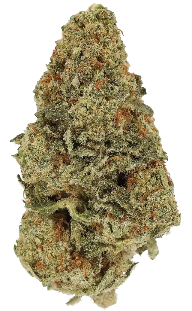 Cannamedical Indica Ultra ES