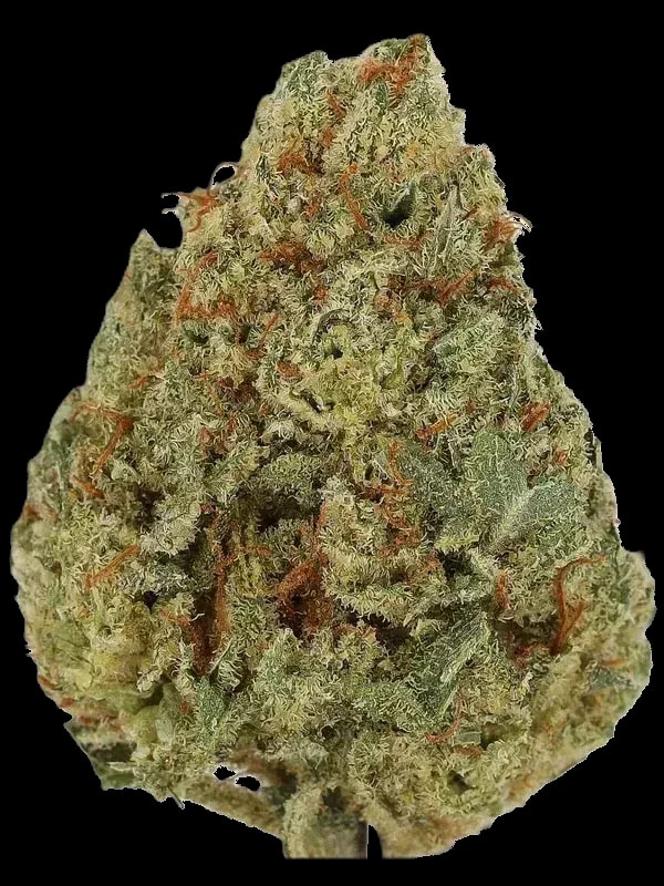 Cannamedical Sativa Ultra ES