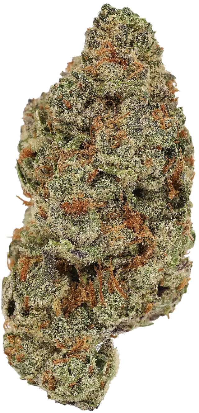 Cannamedical Sativa Ultra ES