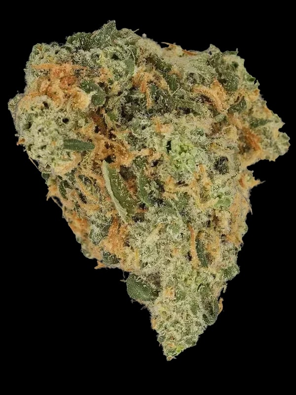 Cannamedical Hybrid Forte NM