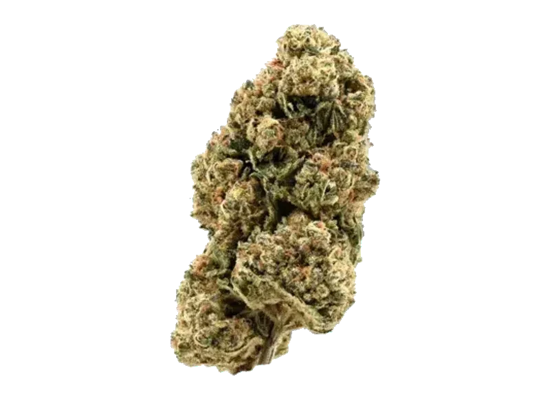 Cannamedical Sativa Classic NM