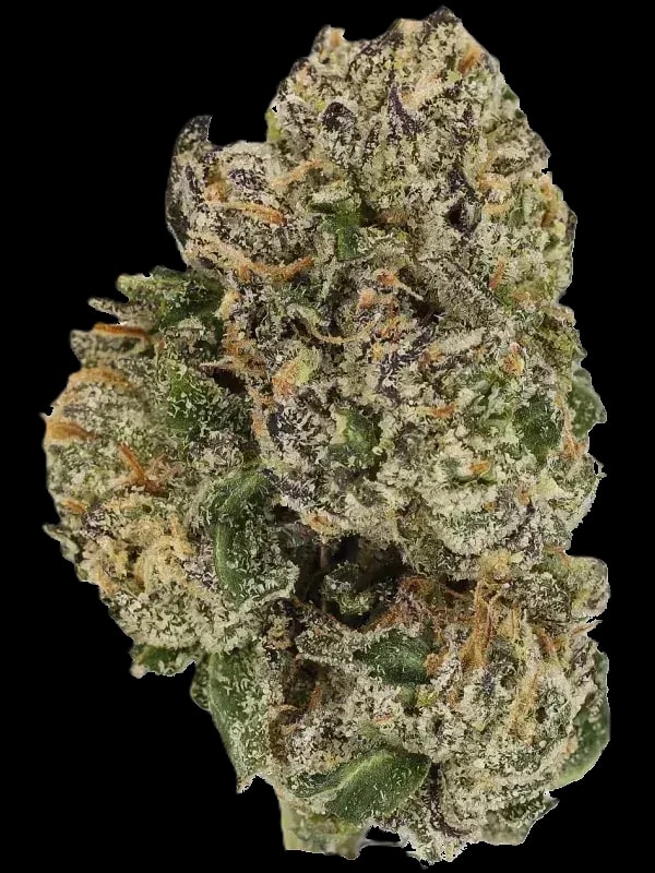 Cannamedical Sativa Forte NM