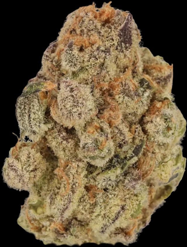 Cannamedical Indica Classic ZAF