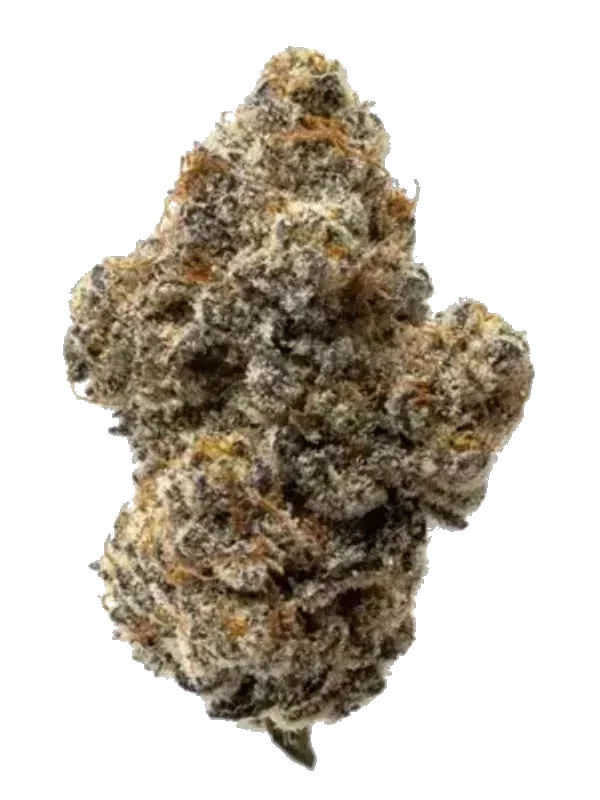 Cannamedical Sativa Classic SA