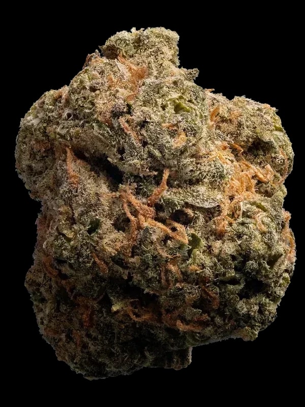 Cannamedical Hybrid Ultra BC
