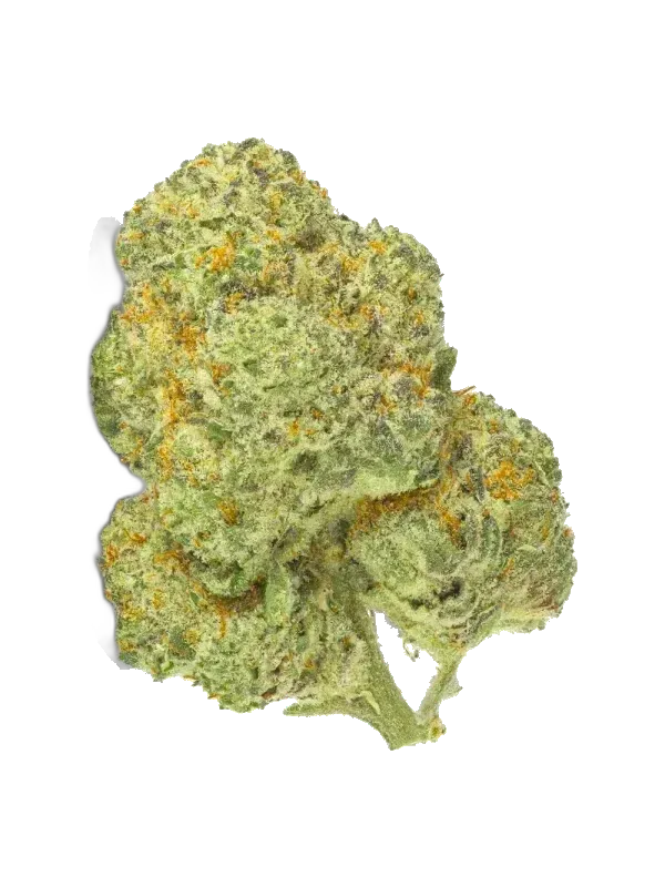 AphriaRX Cannabisblüten THC25 – SNS