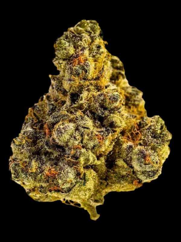 Tilray Craft Cannabisblüten THC28 PPV