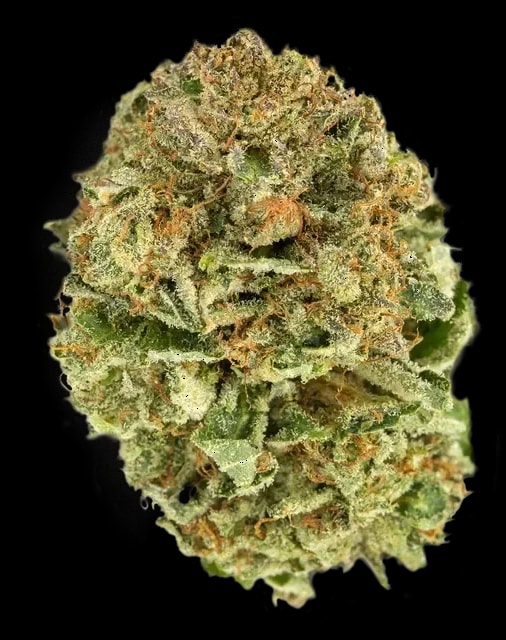 TILRAY Cannabisblüten THC22 Hybrid No. 2