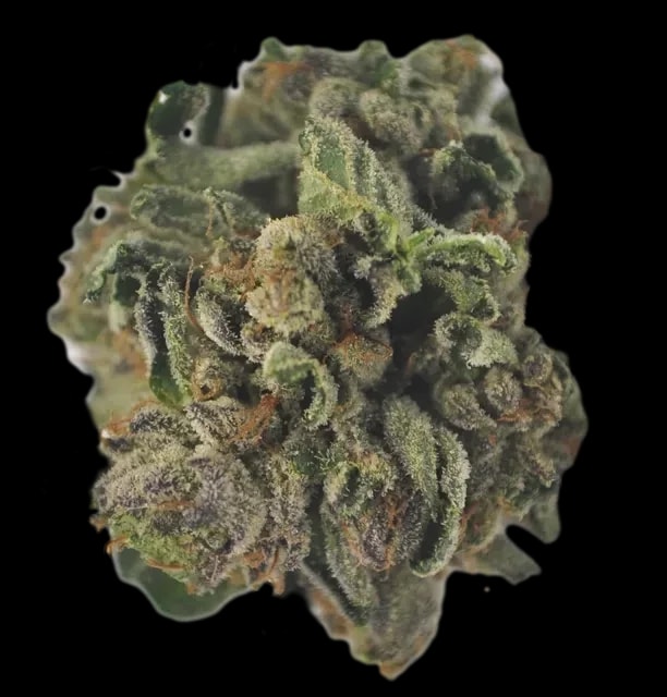 Tilray Cannabisblüten THC18 Hybrid No.5