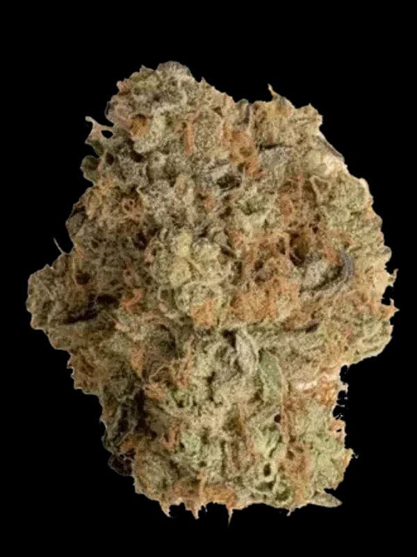 Cookies 2.0 Medellin 26/1 CAN