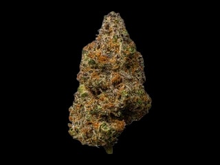Cookies 2.0 Hawaiian Rain 28/1 CAN