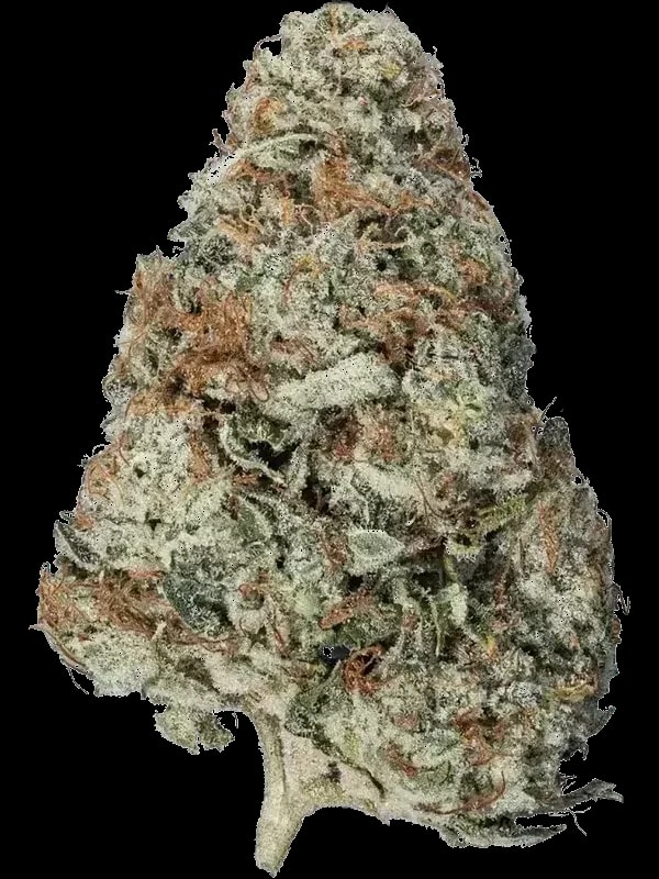 Soma OG 32/1 PF