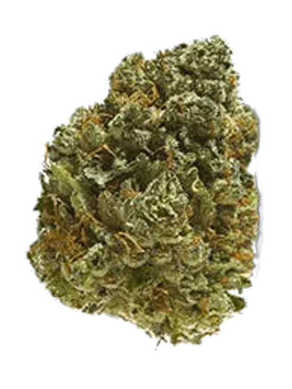 Canopy AKH 22