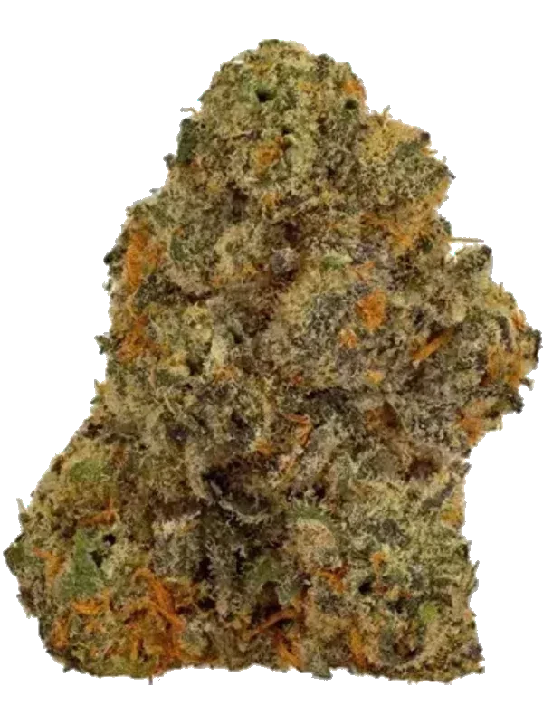 Canopy AKH 24