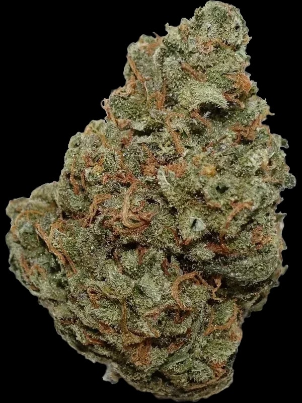 Cannabis flos 24/1 CZE Ku.