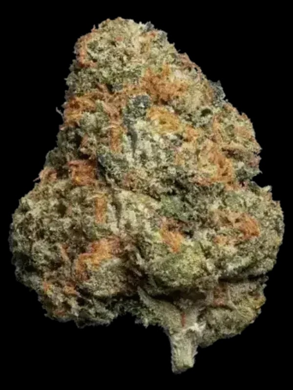 Cannabis flos 20/1 CZE Ku.