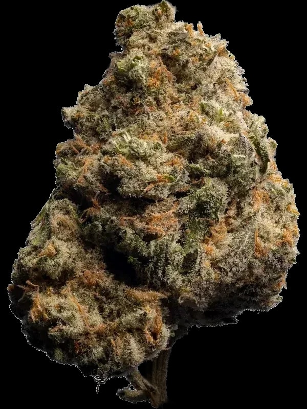 Canify Cannabis Flos 16/1 CL Ku. Herer Widow