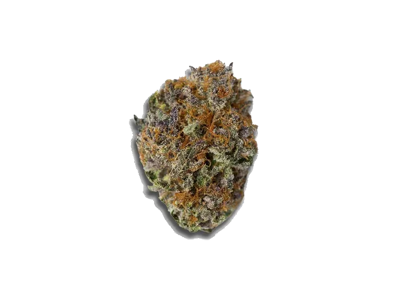 Canify Cannabis Flos 25/1 ES Ku.