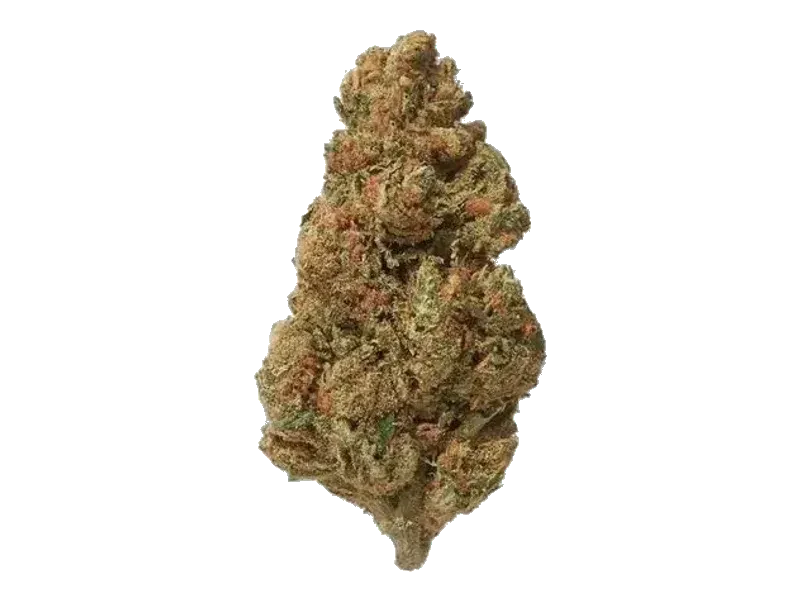 187 Cannabisflower BSCT THC22