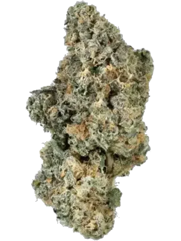 187 Cannabisflower RS11 THC 25
