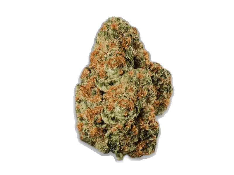 bava medical 27/1 BLA-GA Black Gas