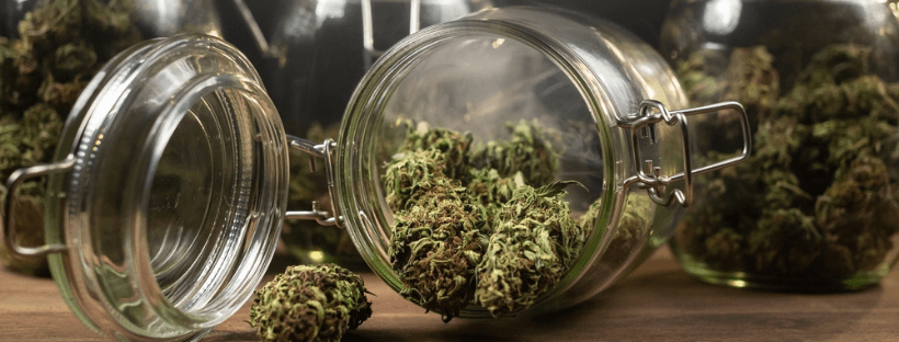Cannabis richtig aufbewahren: So bleibt es frisch
