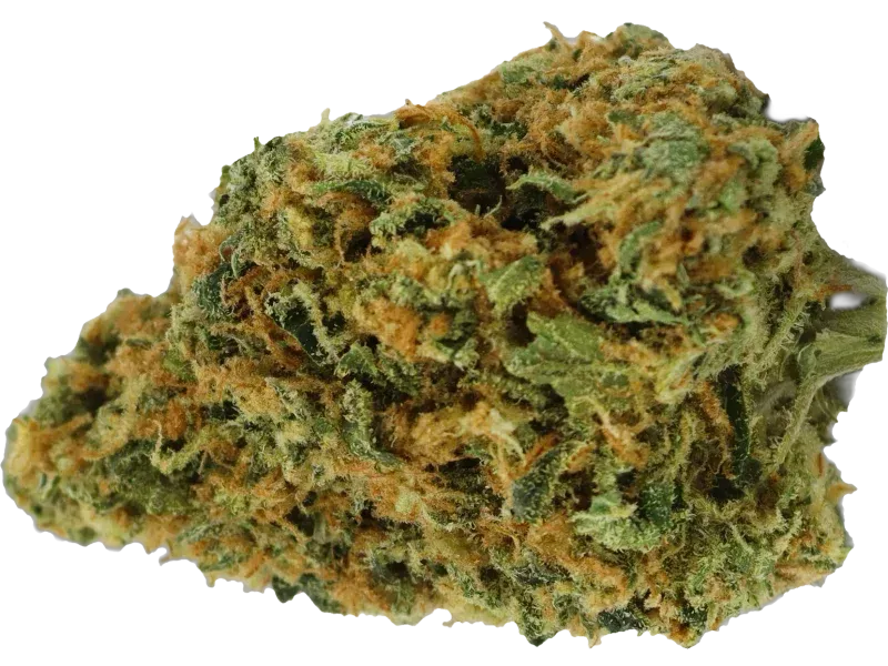 Becanex PIEX 2 - 70 % Rohextrakt