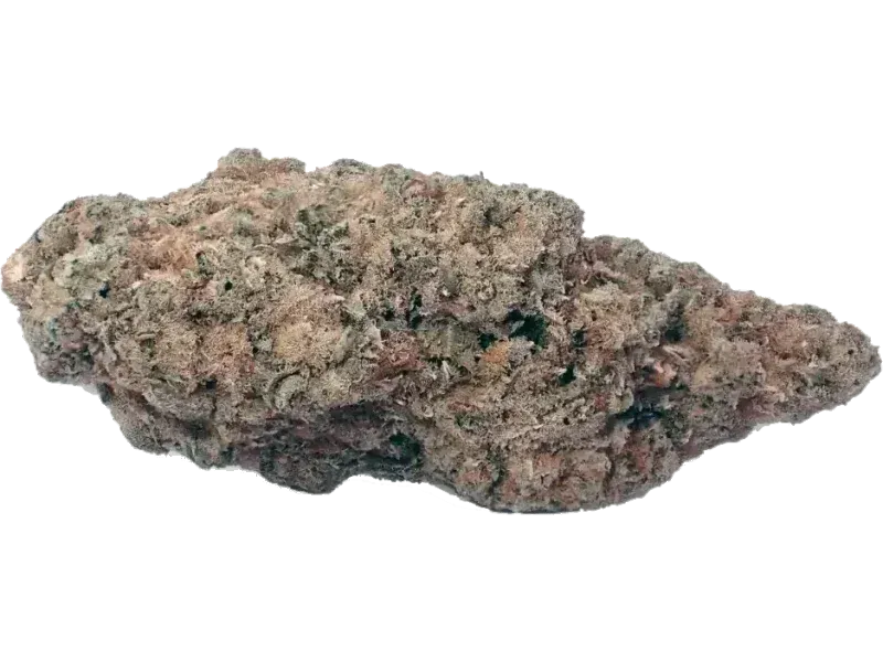 BG 24 CPY COL Capaxhy