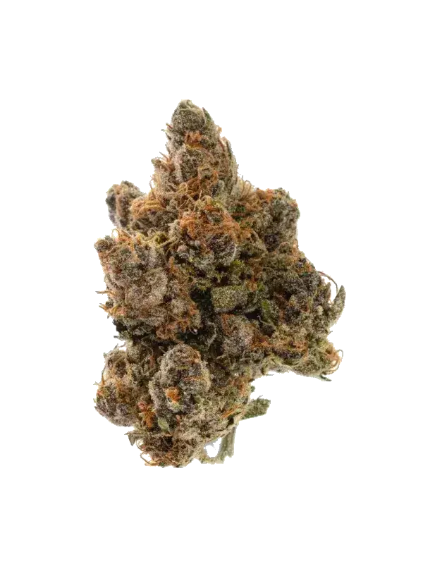 Nice 28/1 WPG Wedding Pie Gelato