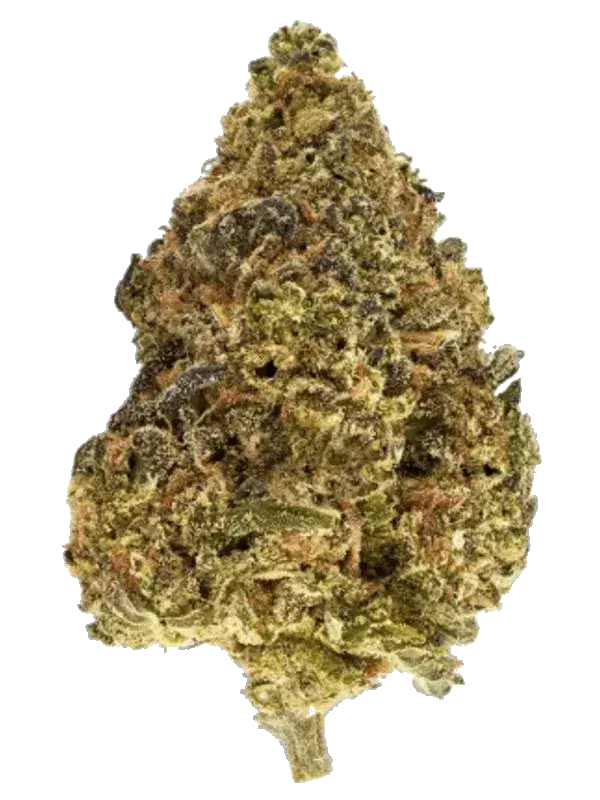 33/1 Nice OZK - OG Kush and Zkittl