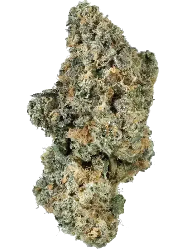 420Eolution CA STR