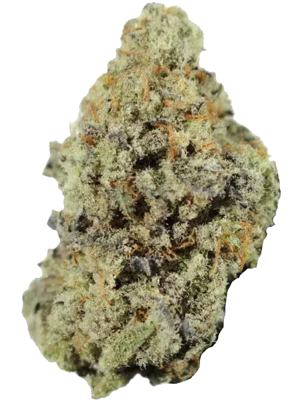 Demecan Craft Electron 31/1 Gelato OG Kush