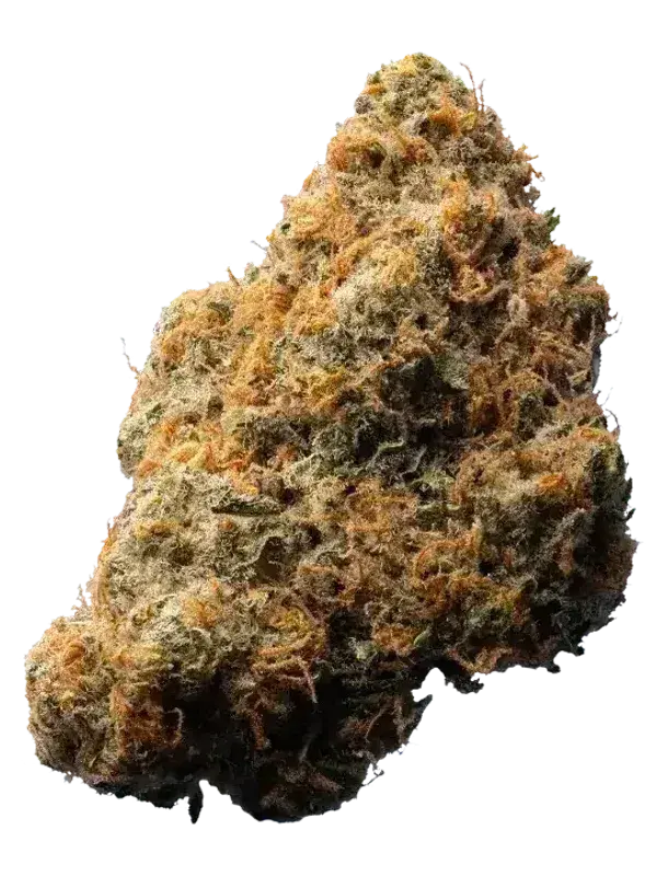 BG 26 CPY COL Capaxhy