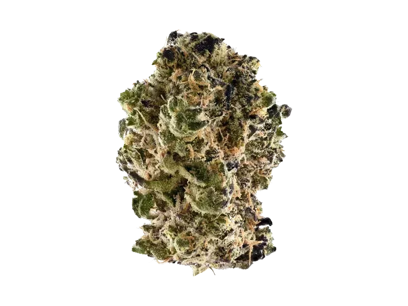 La Sage